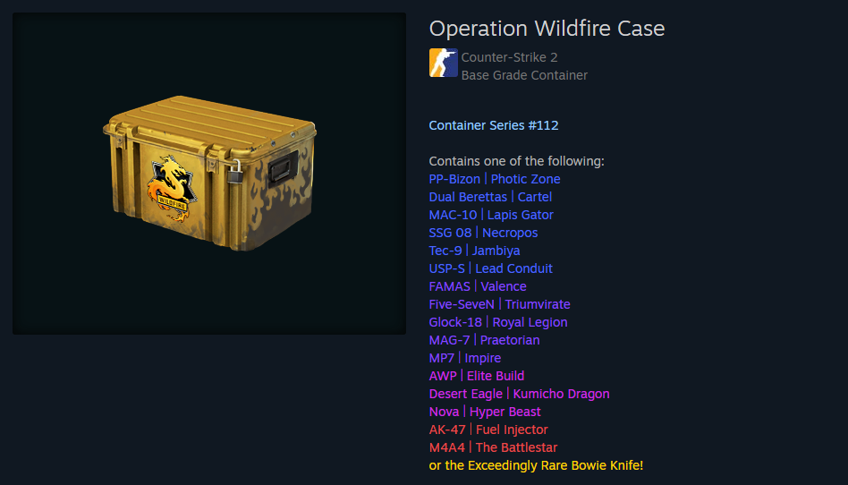 Weapon Case