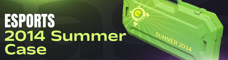 eSports 2014 Summer Case