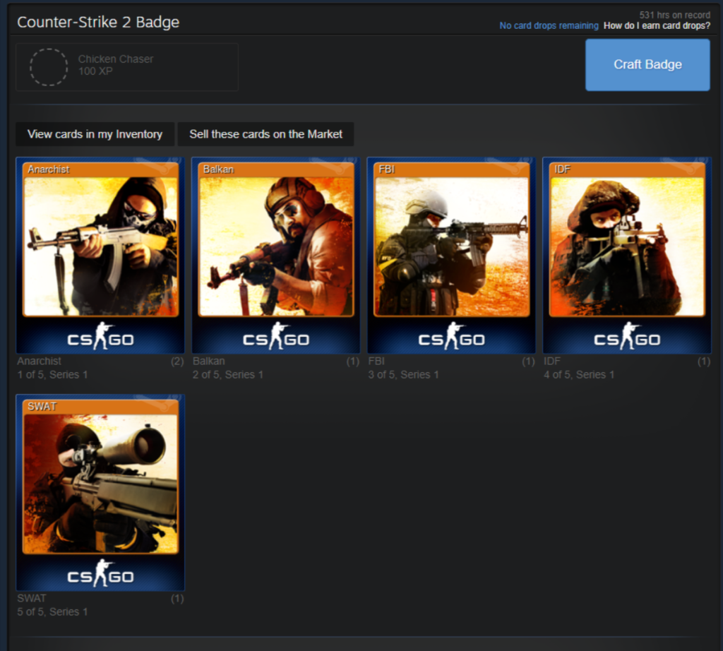 Counter Strike 2 Badge